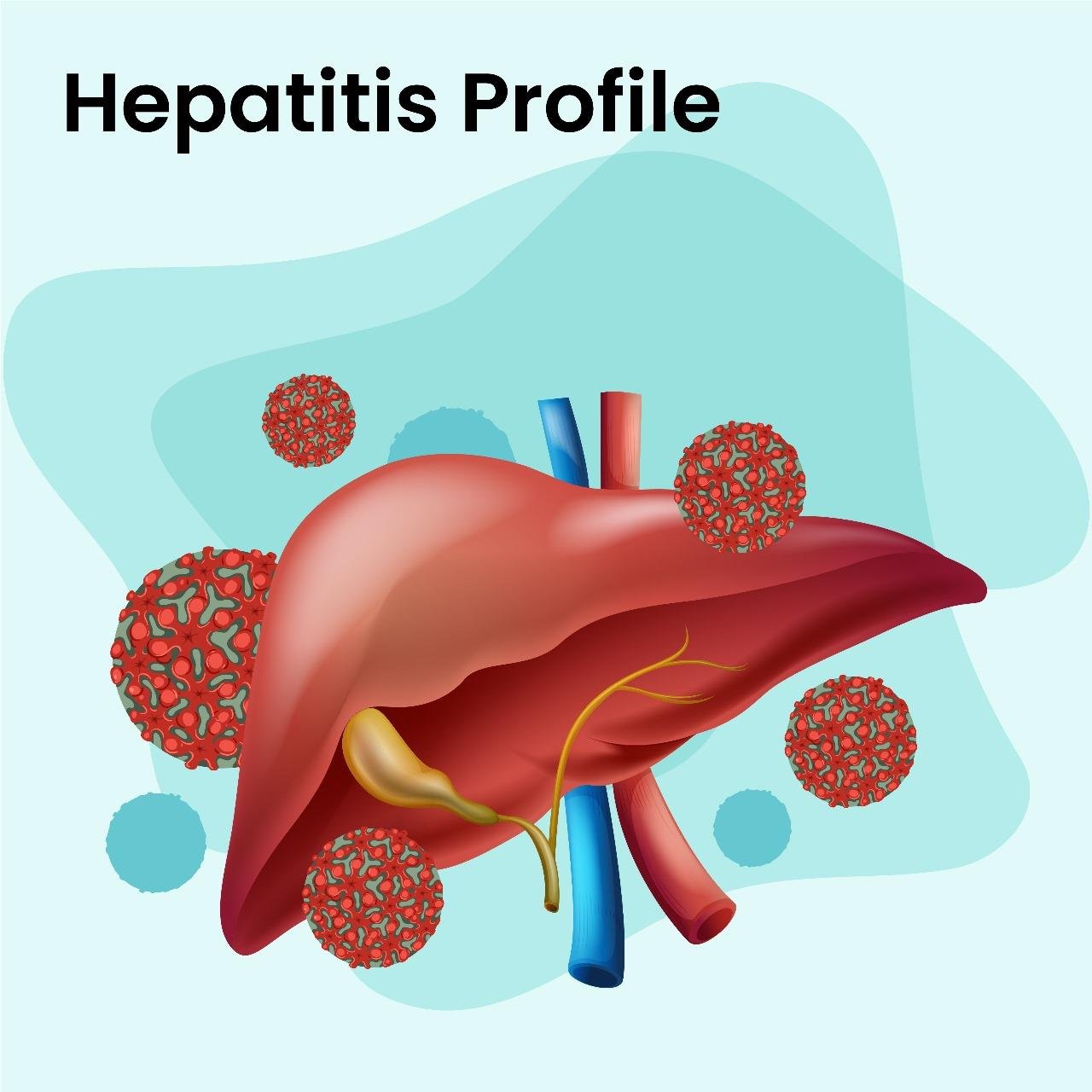HEPATITIS  PROFILE